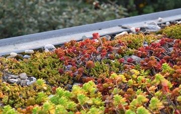 the cost of Thurston Clough green roof installation