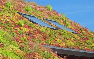 Thurston Clough living roof systems